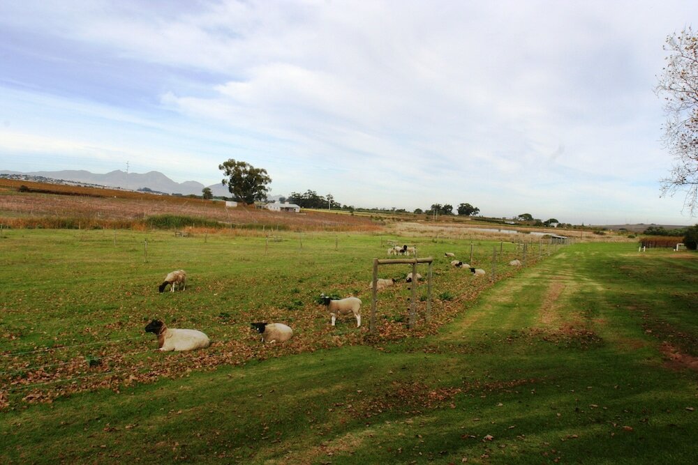 Фото Klein Welmoed Luxury Guest House