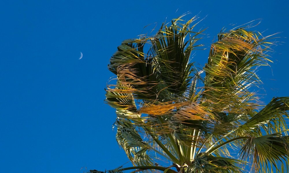 Фото Bed and Breakfast Opera