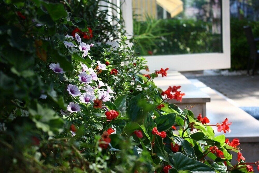 Фото Hotel Meublé Zenith