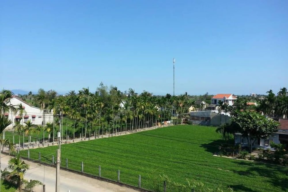 Фото Rice Field Homestay