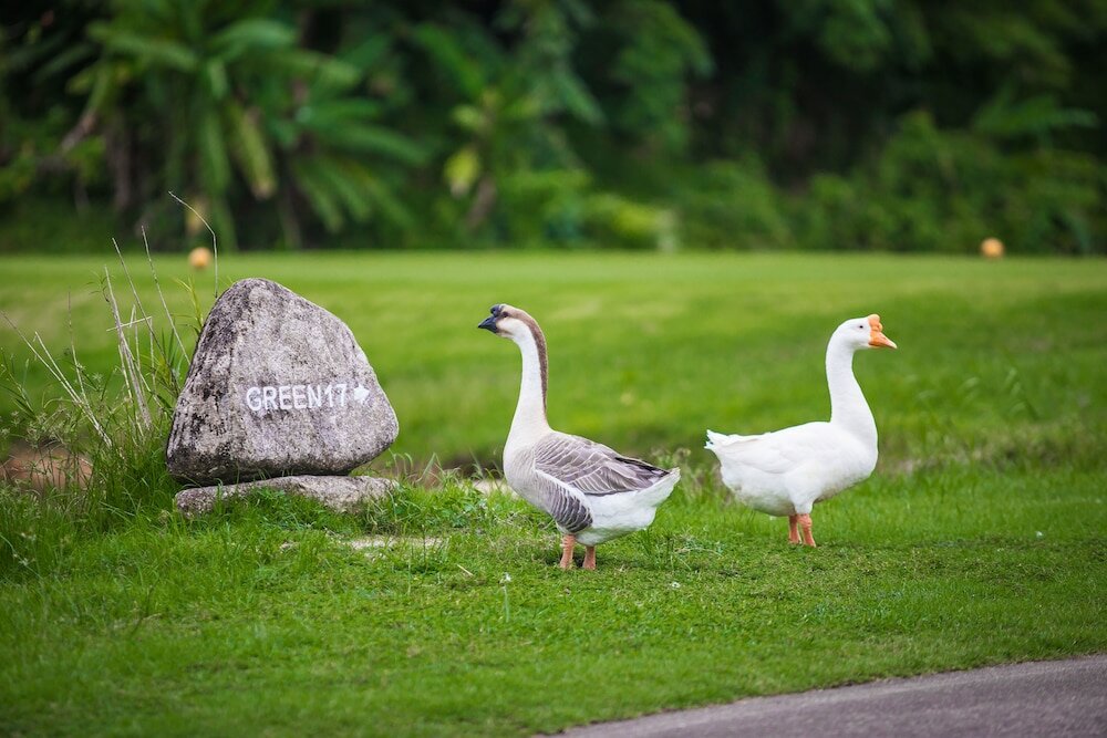 Фото Katathong Golf Resort & SPA