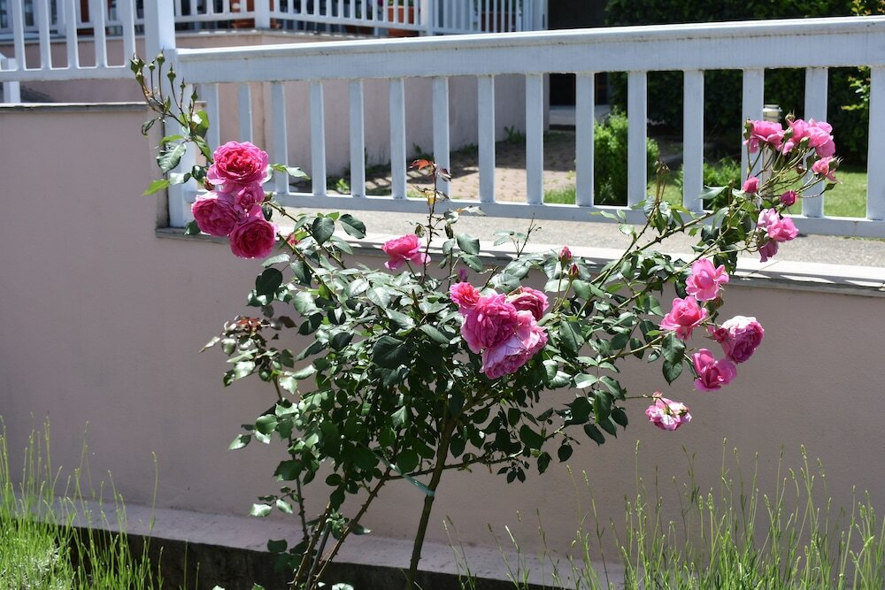 Фото Regina Mundi