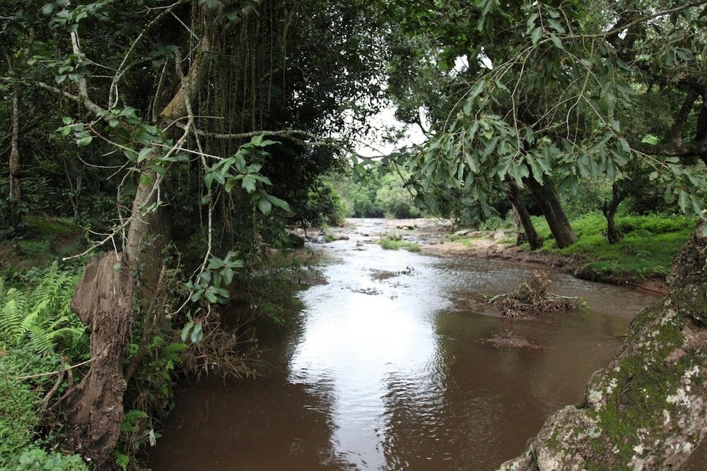 Фото Elephant Valley