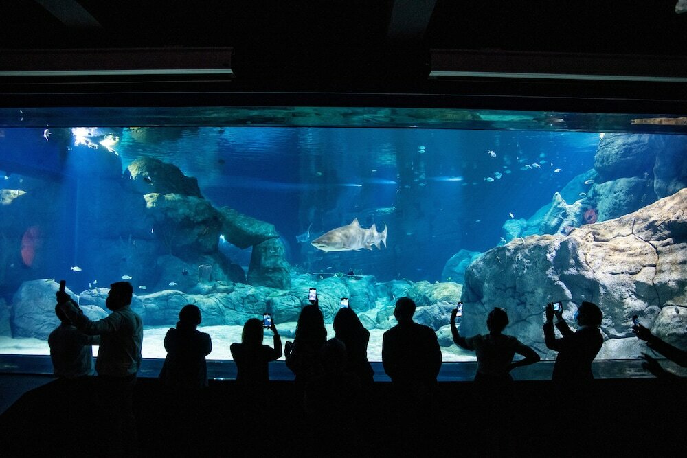 Фото Labourdonnais Waterfront Hotel