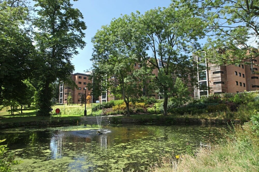 Фото Jonas Hotel