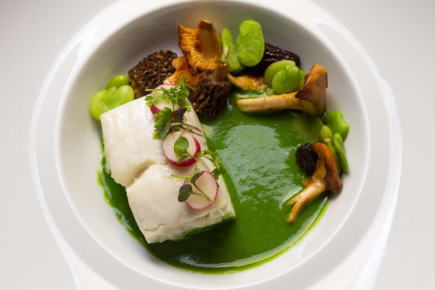 Фото Sophy Hyde Park