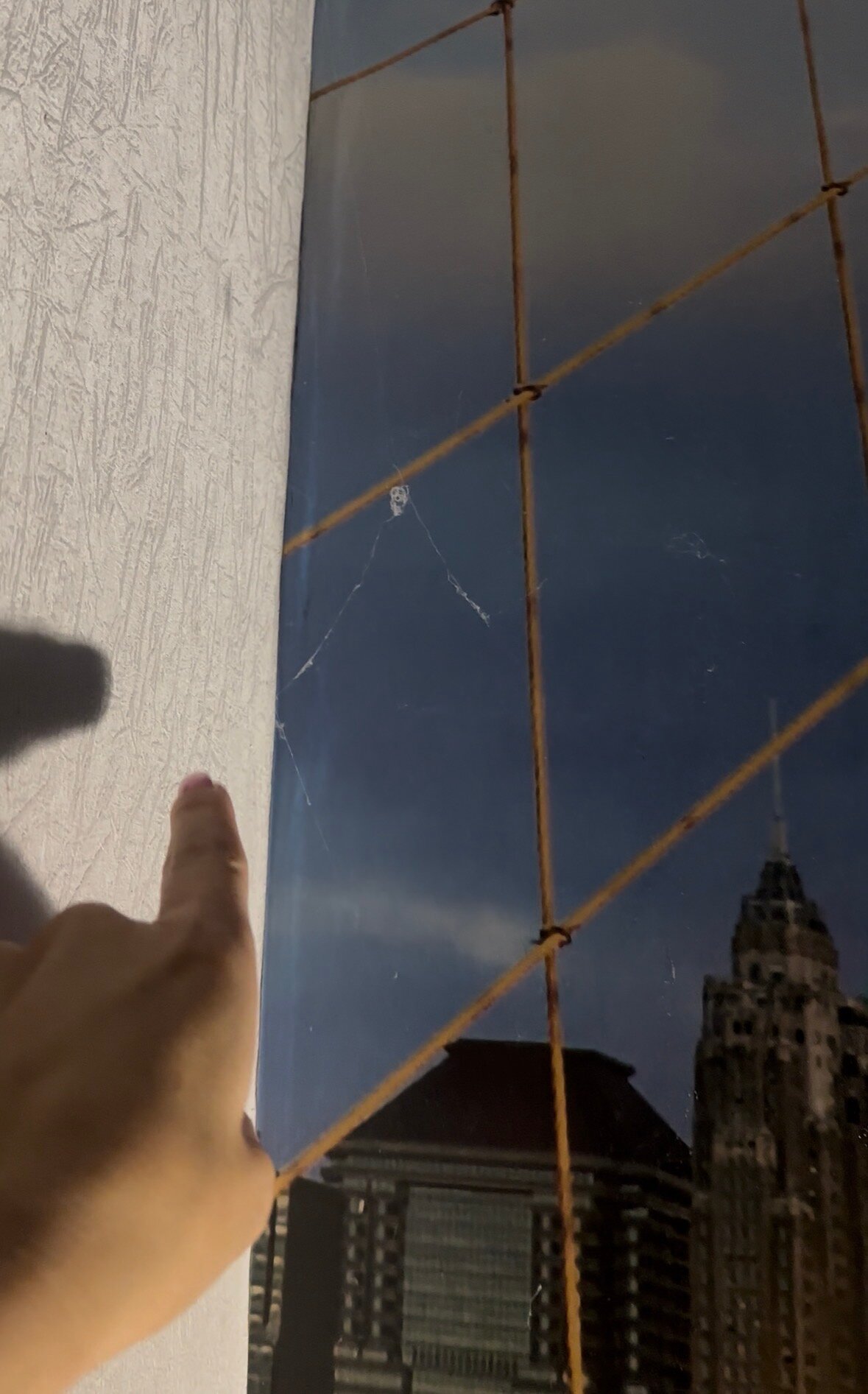 Фото ДмитровГрад