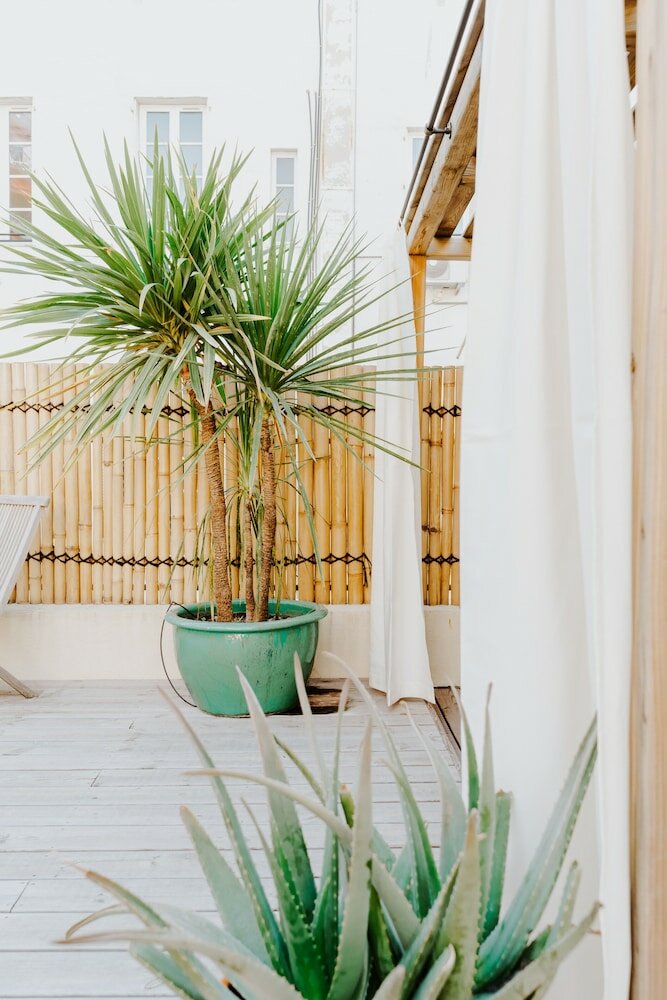 Фото Palm Hotel Nice