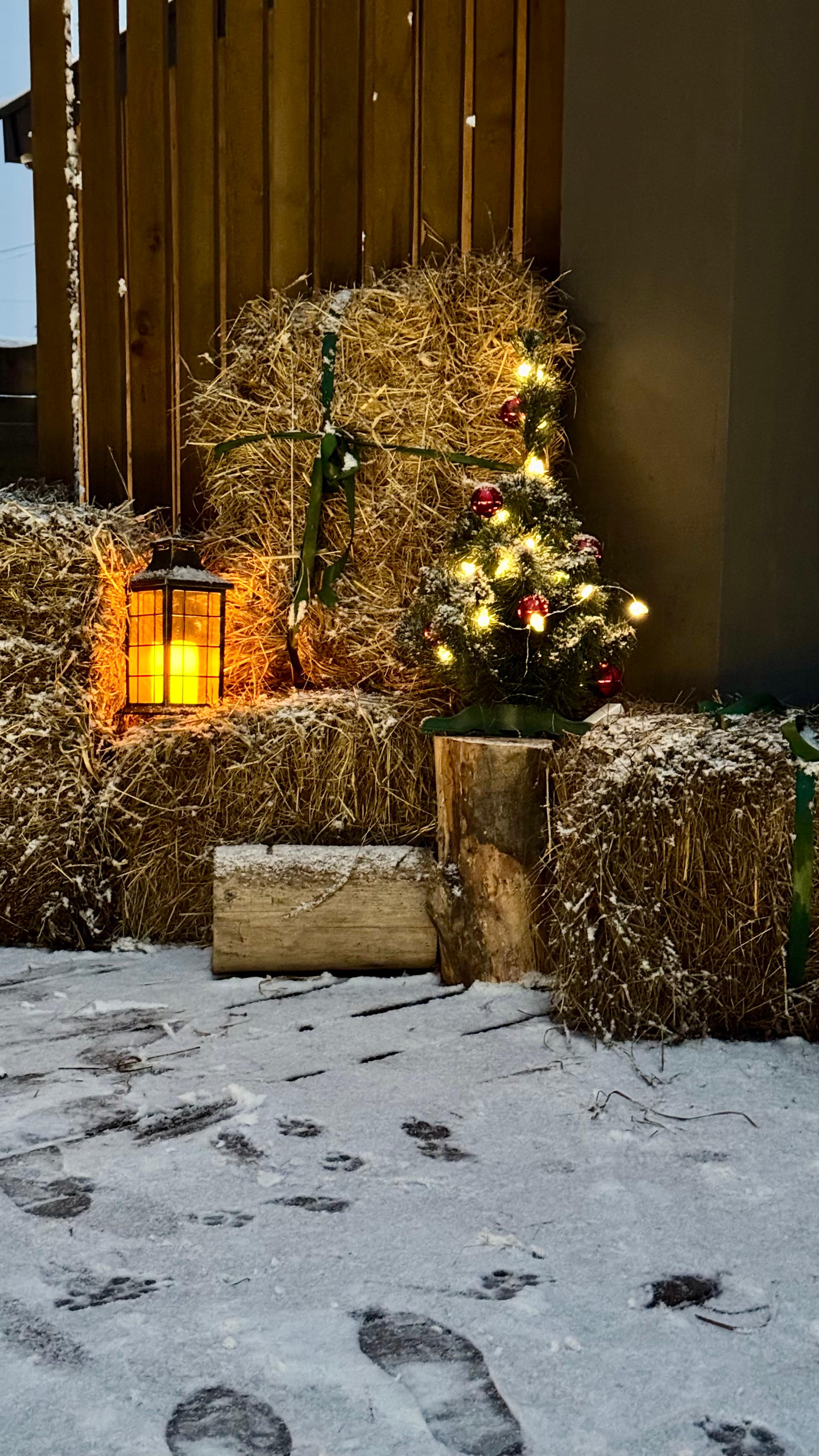 Фото Автограф Коробицыно