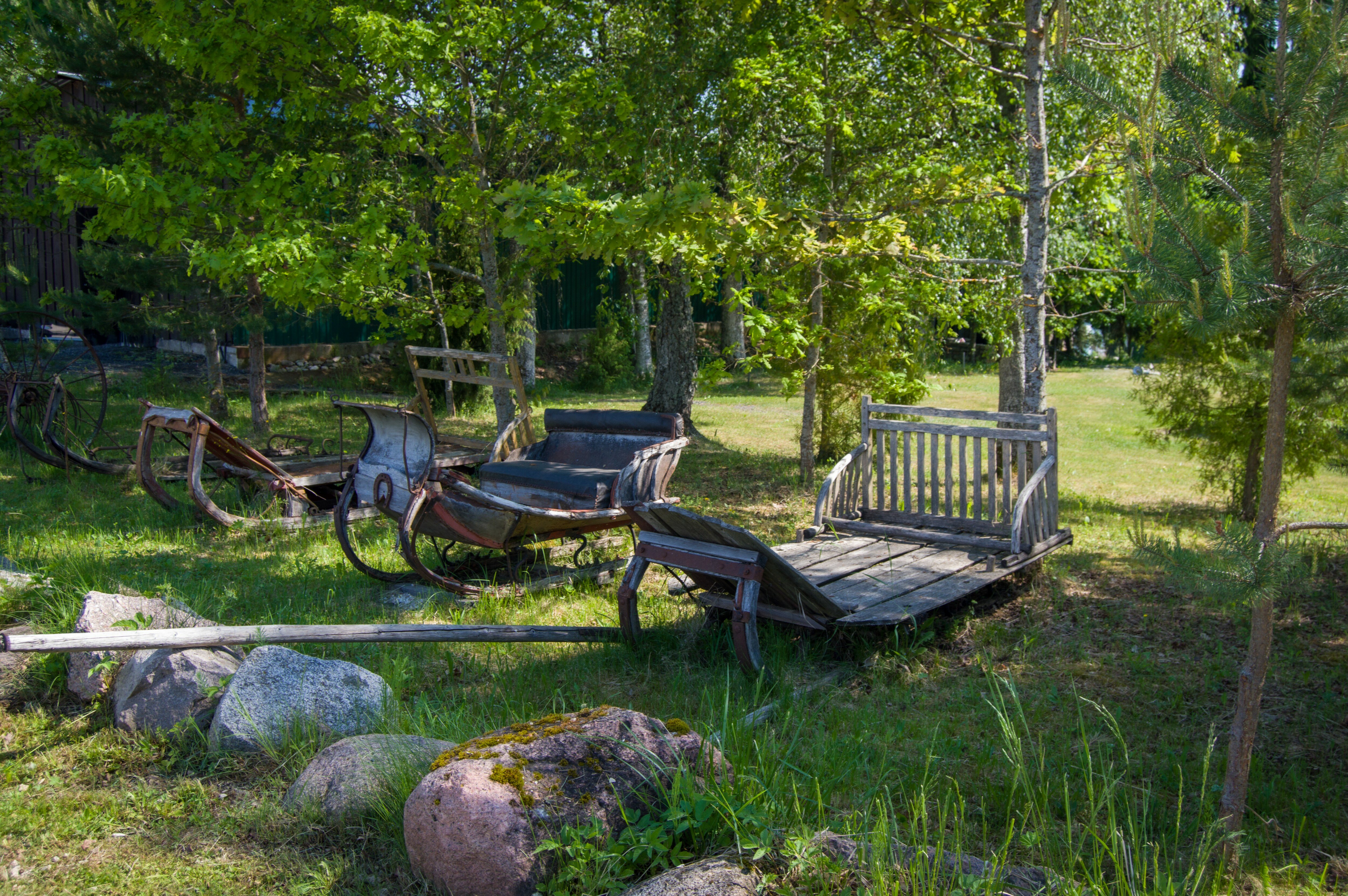 Фото Березовый хутор