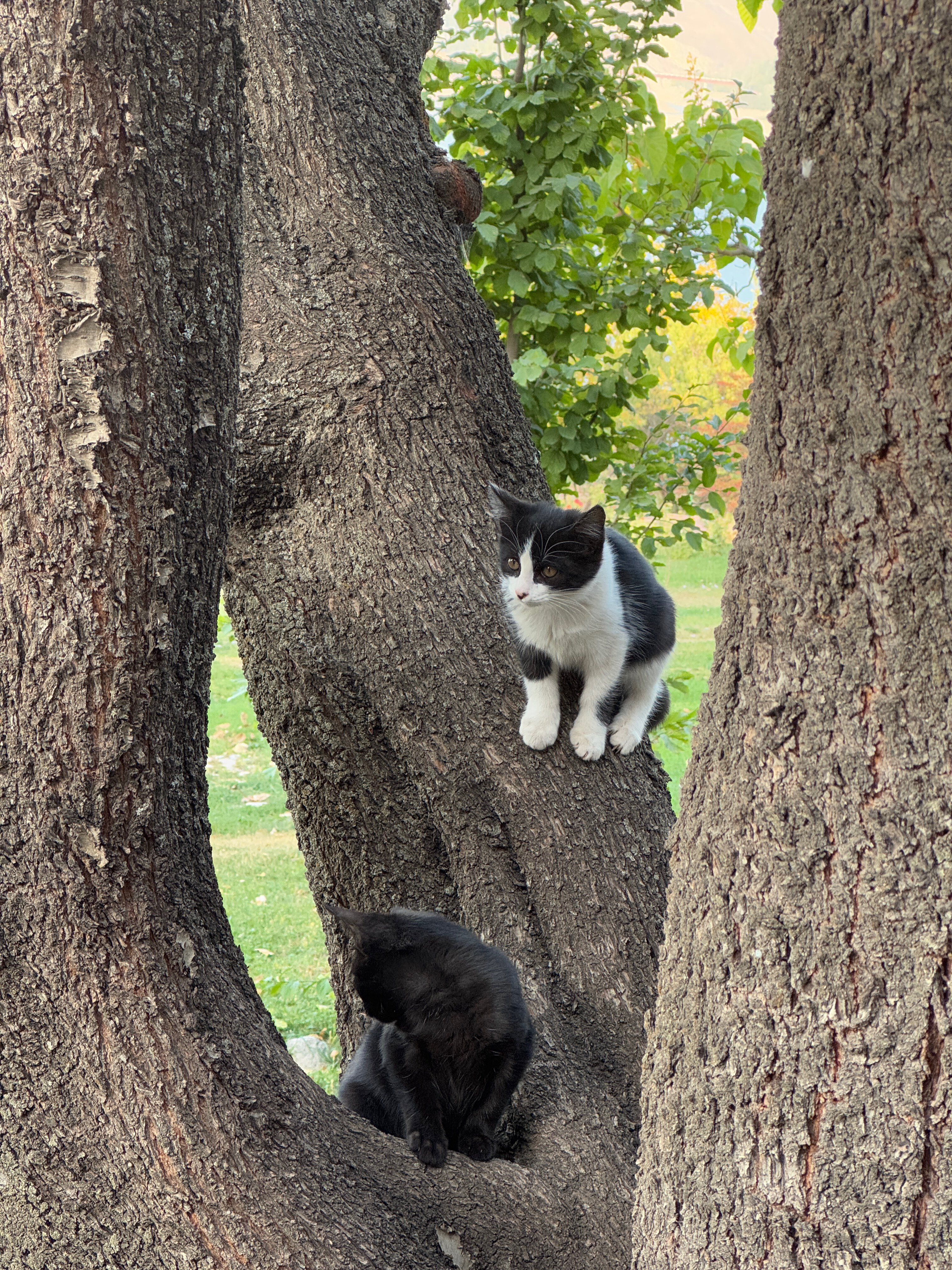 Фото Avenue Park Hotel