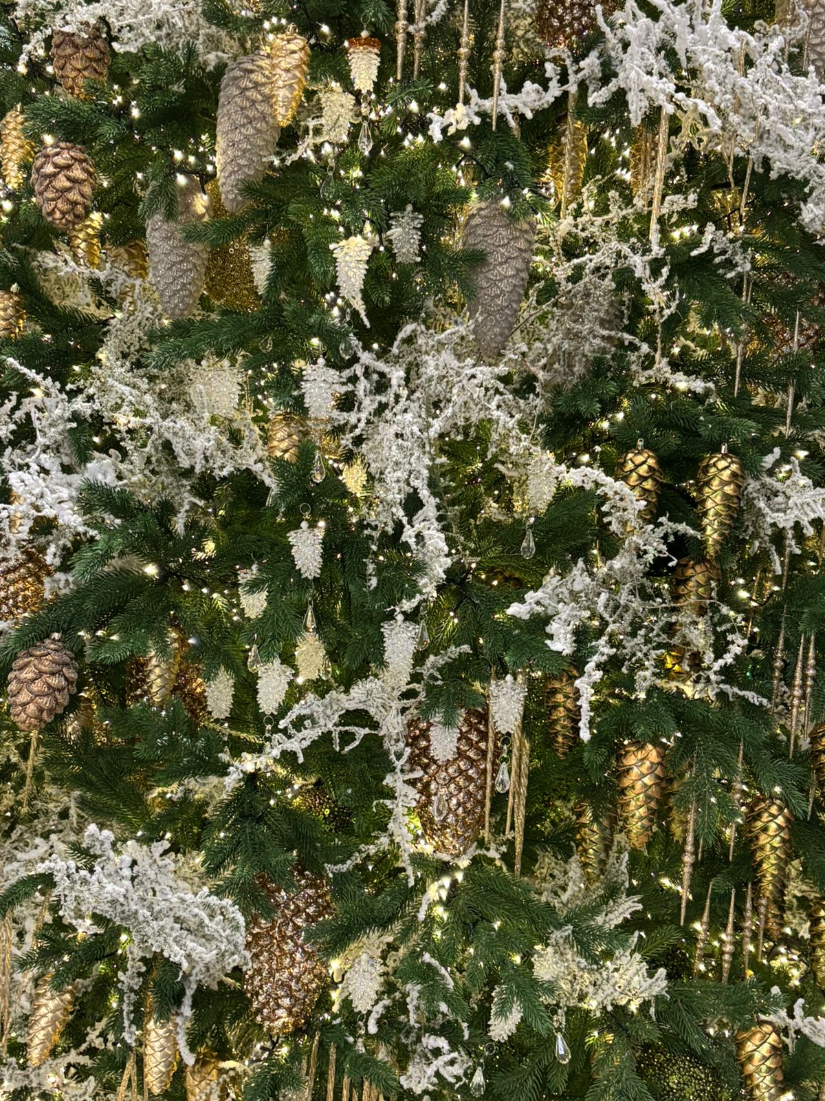 Фото Костас