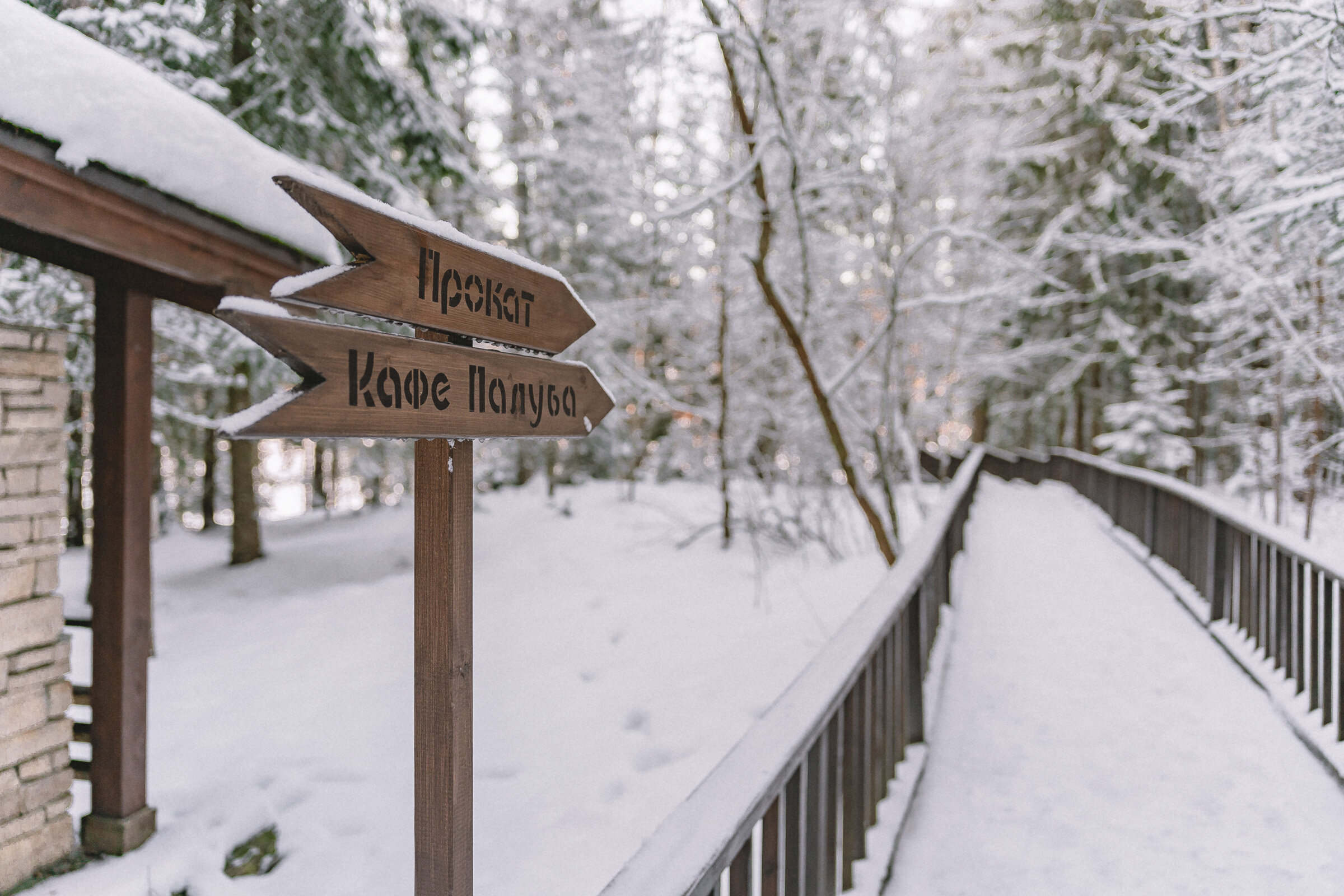 Фото Истра Холидей