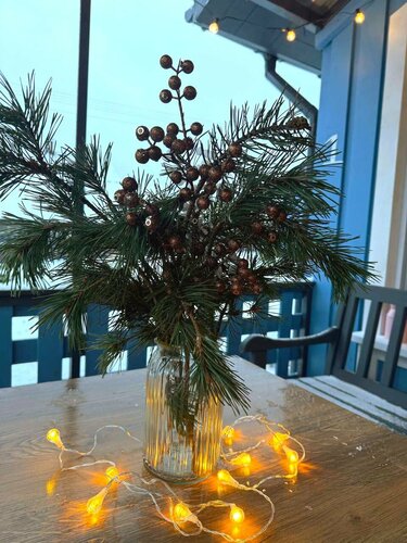 Дом в аренду Дачная 12 в Псковской области