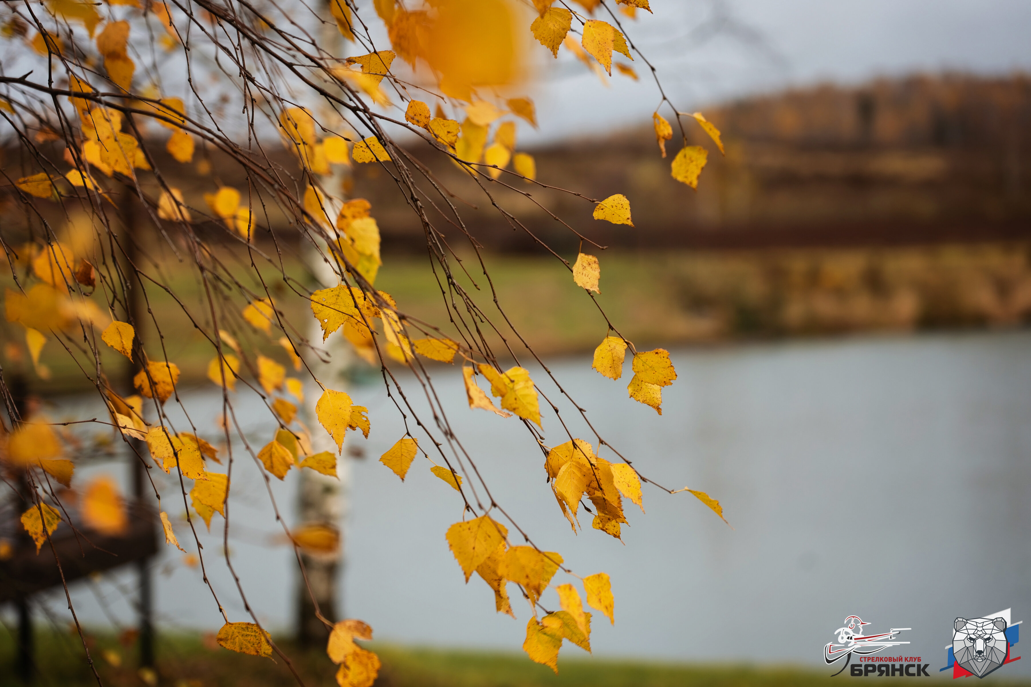 Фото Елисеевы поля