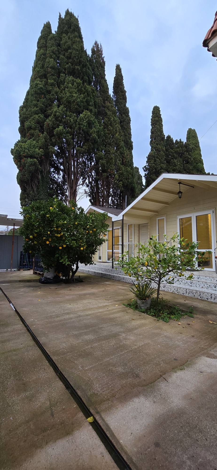 Фото Жемчужина Абхазии