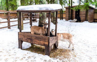 Фото Домъ мастера Хомутова