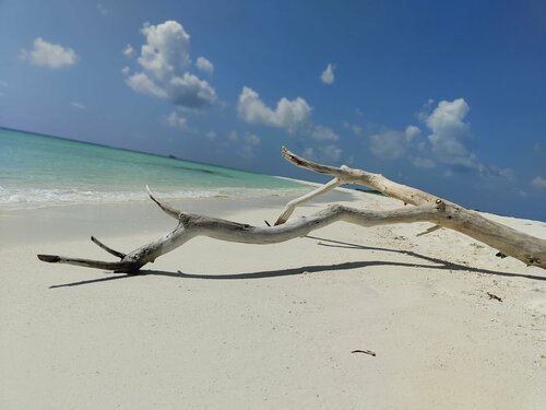 Внешний вид отеля Tme Retreats Dhigurah в Алифе Дхаале, фото 2