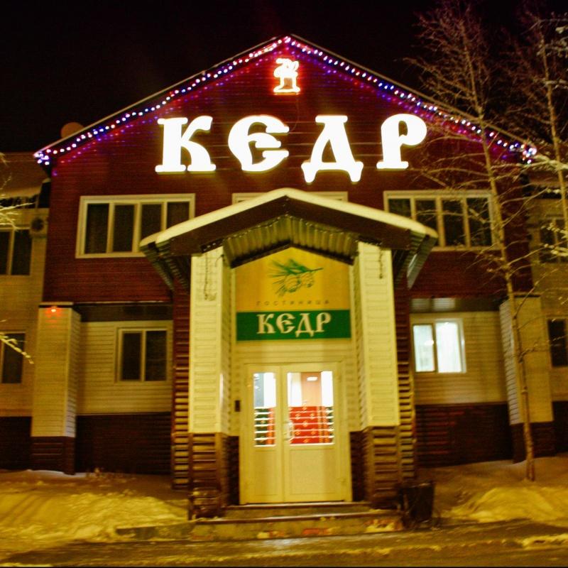 Фото Кедр