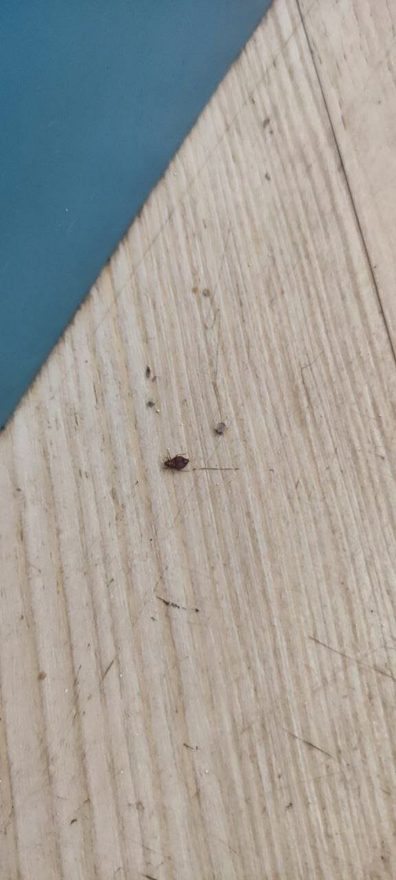 Фото Друзья Лайт