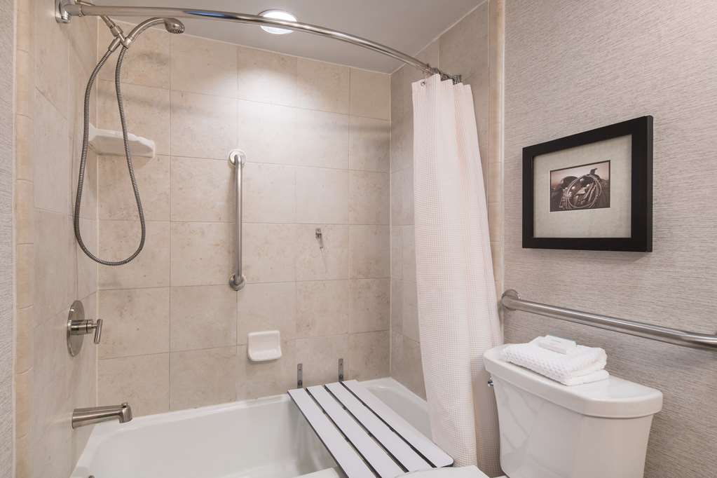 Фото Embassy Suites by Hilton Austin Central