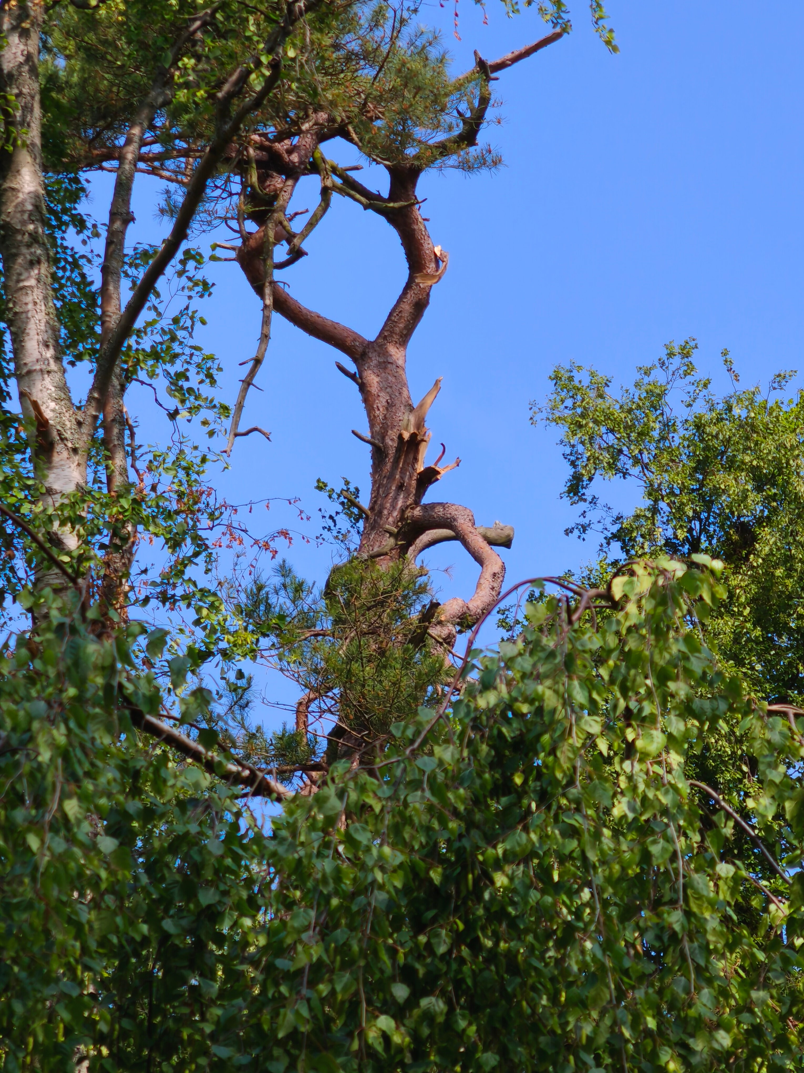 Фото ВитТех