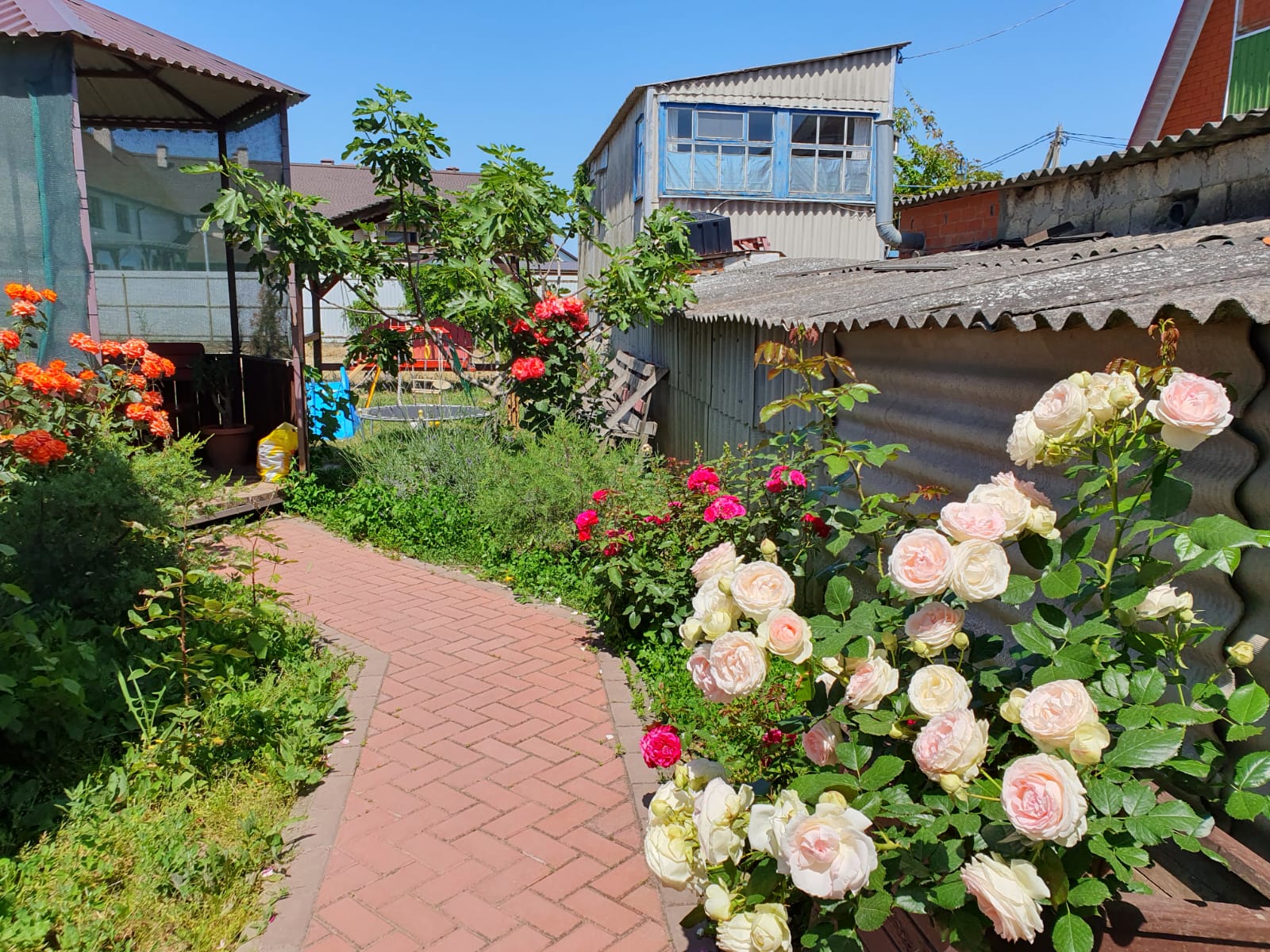 Фото Прованс