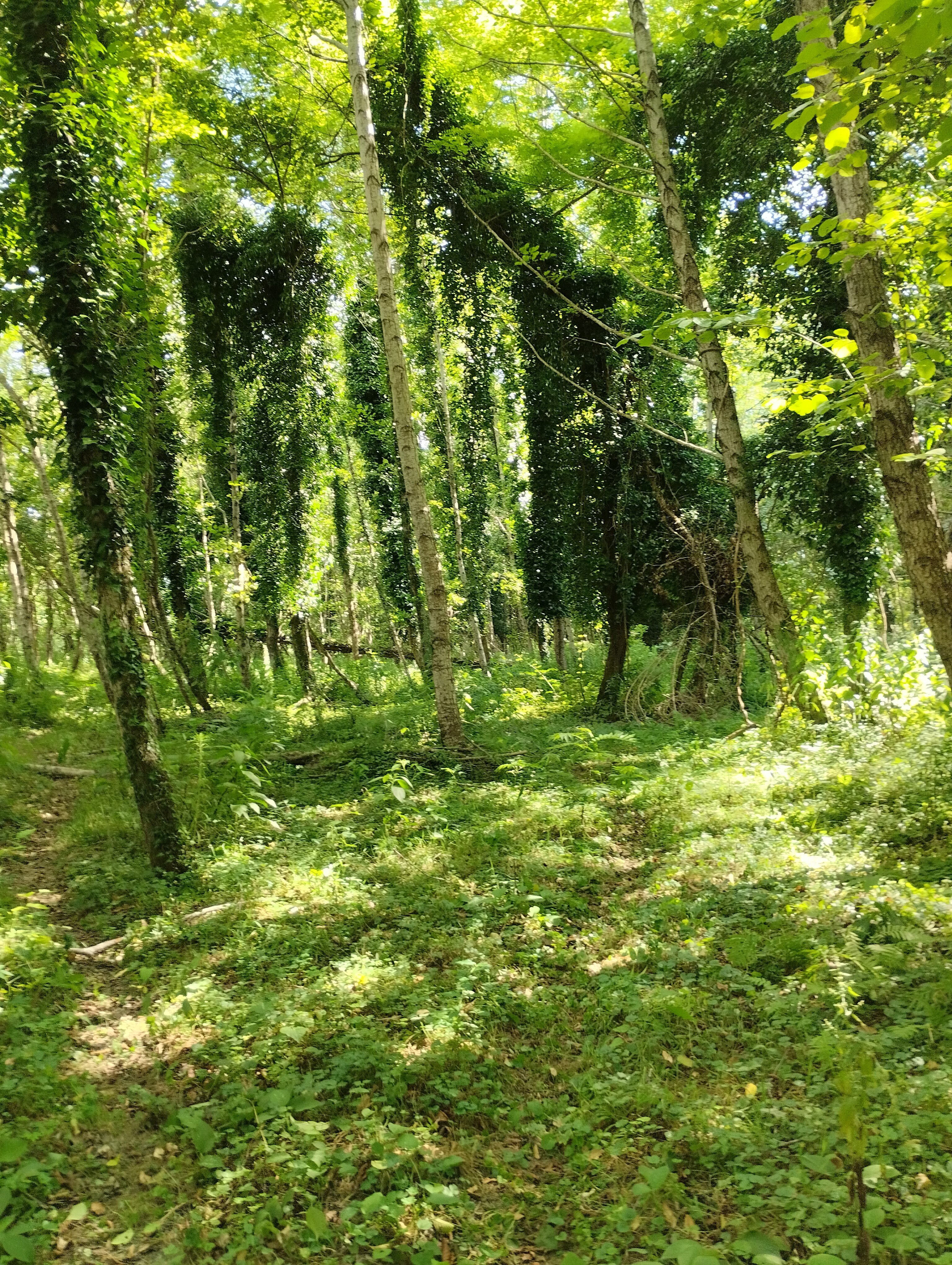 Фото КрутоТут