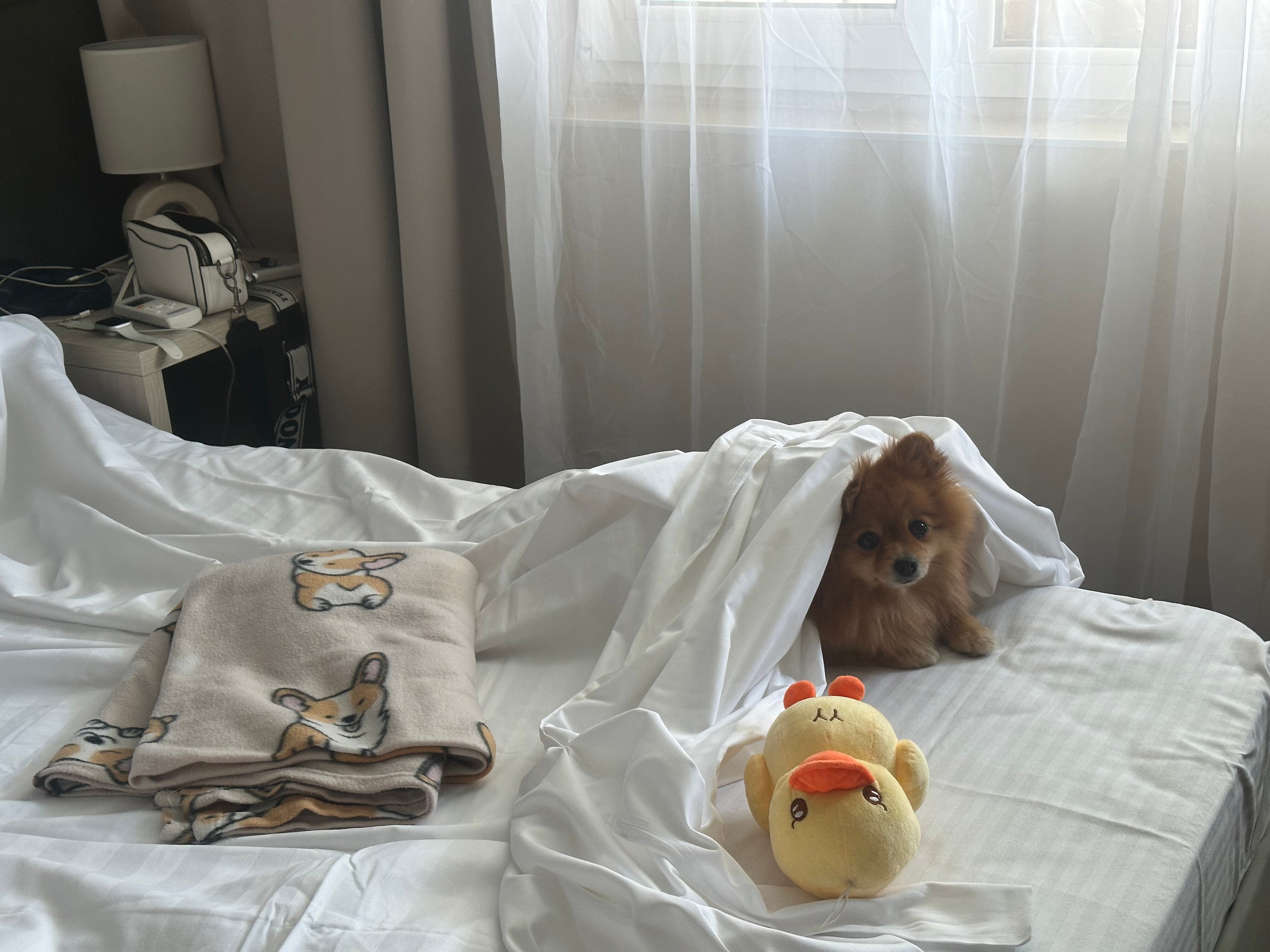 Фото Релакс