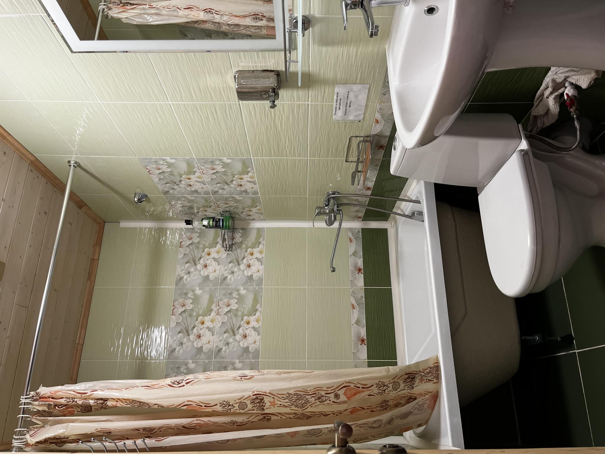 Фото Ёлочка