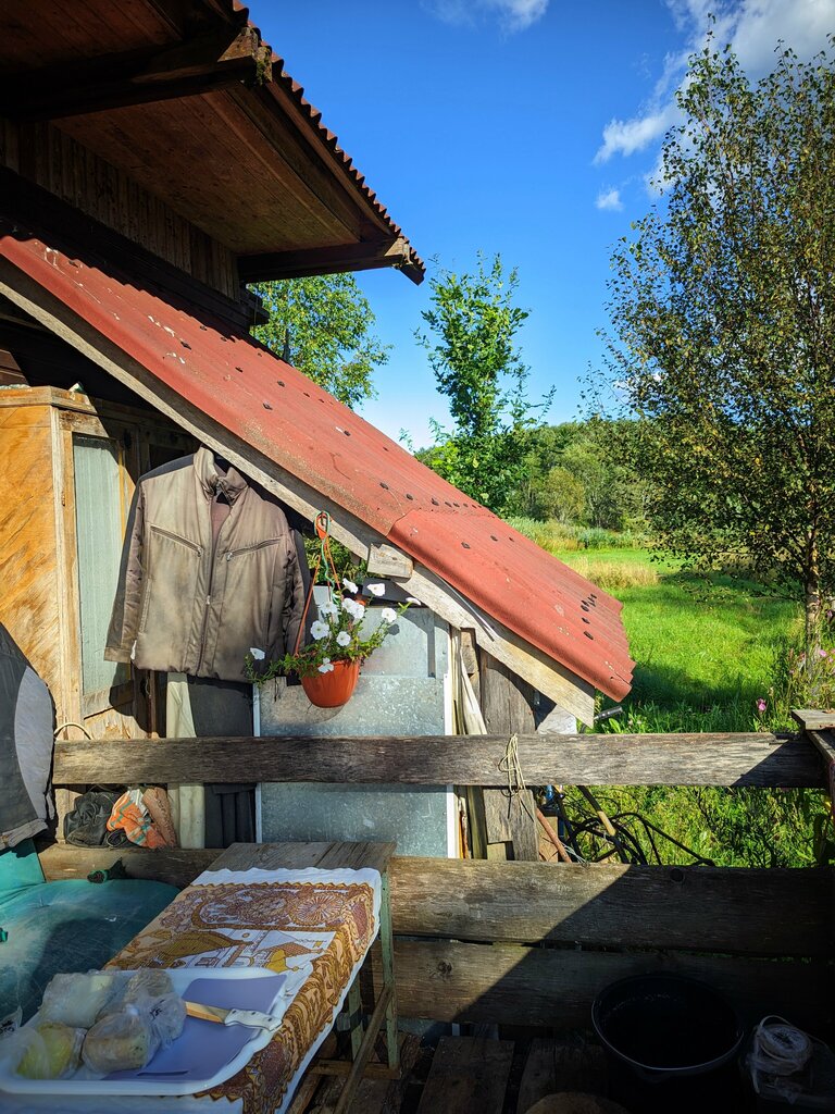 Honey and beekeeping Dobrini, Novgorod Oblast, photo