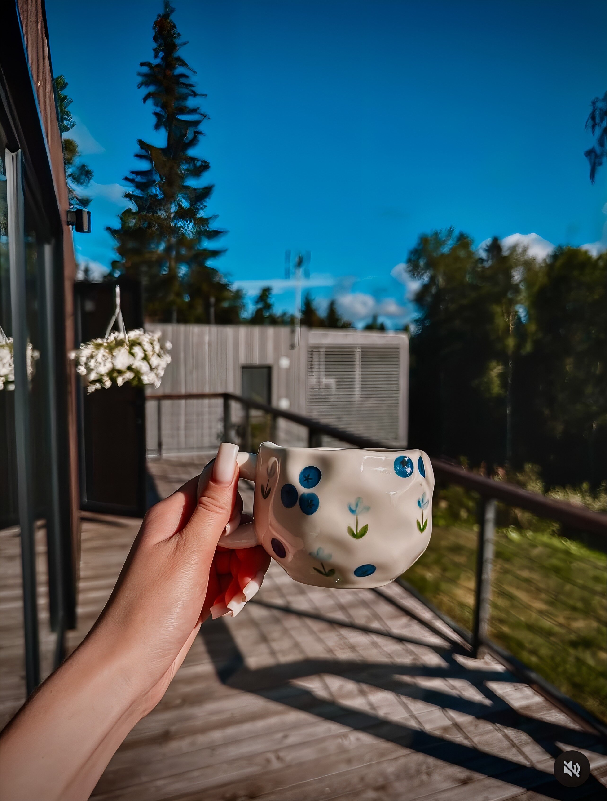 Фото Blueberry Village