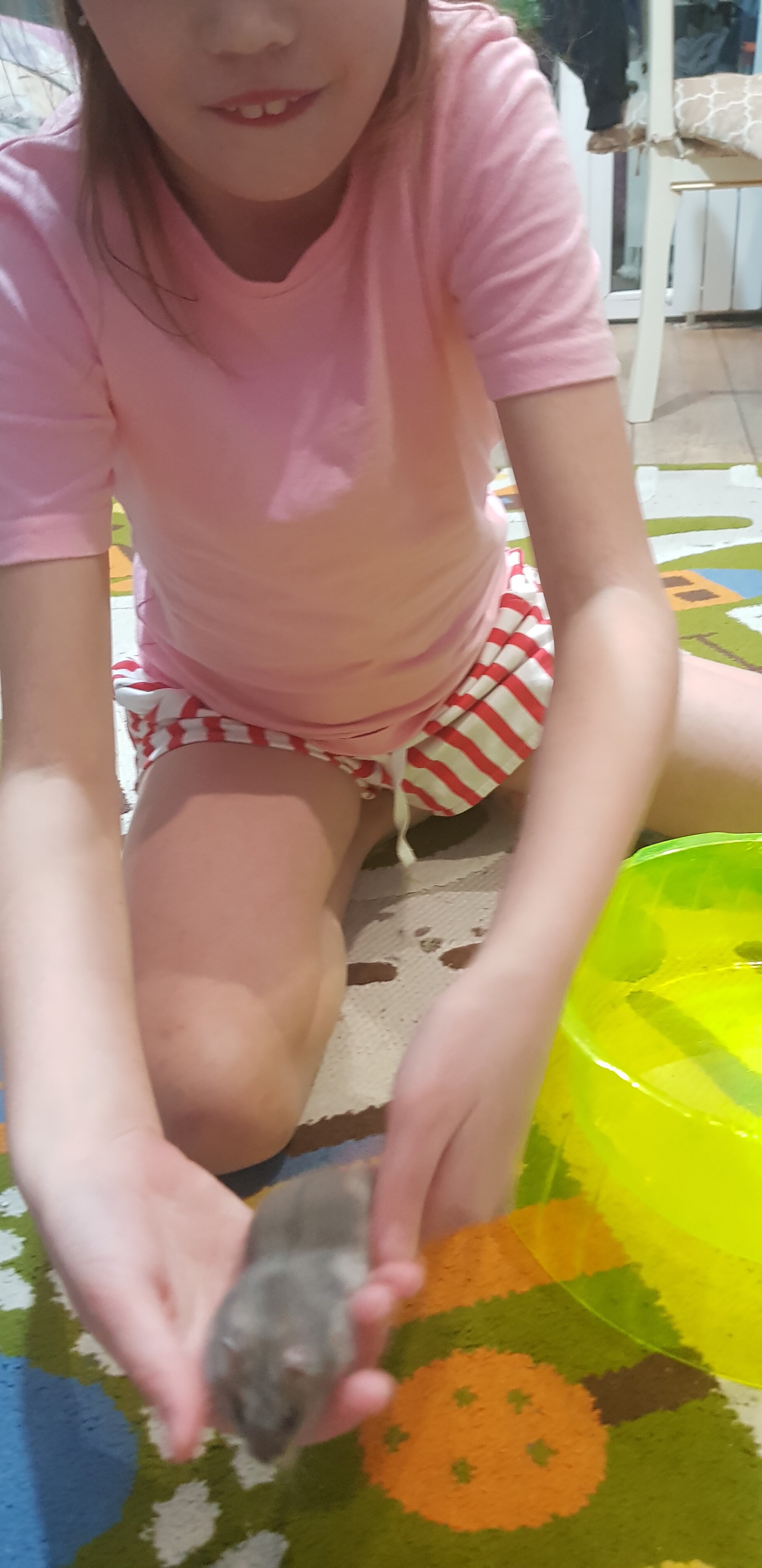 Фото Boutique Hotel Embargo