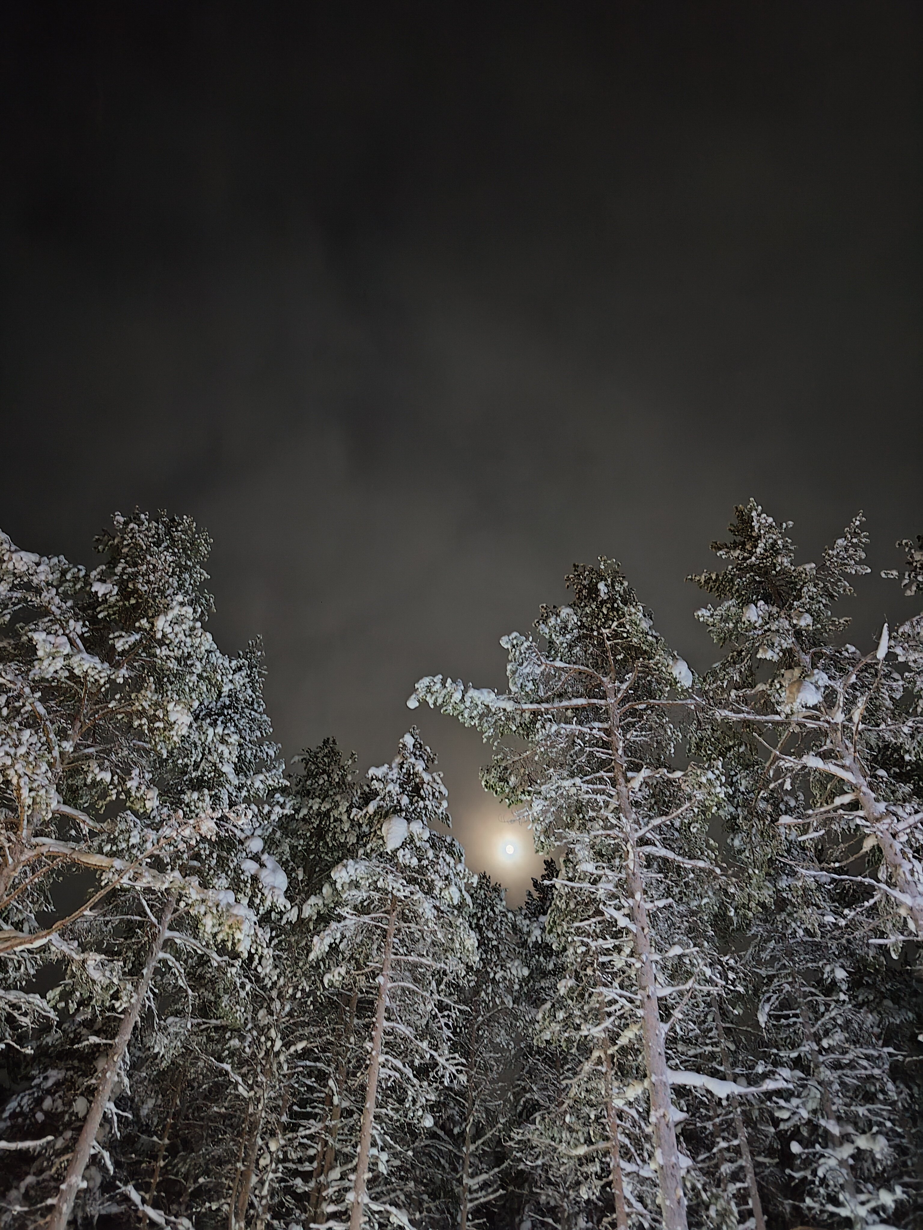 Фото Polarhome51