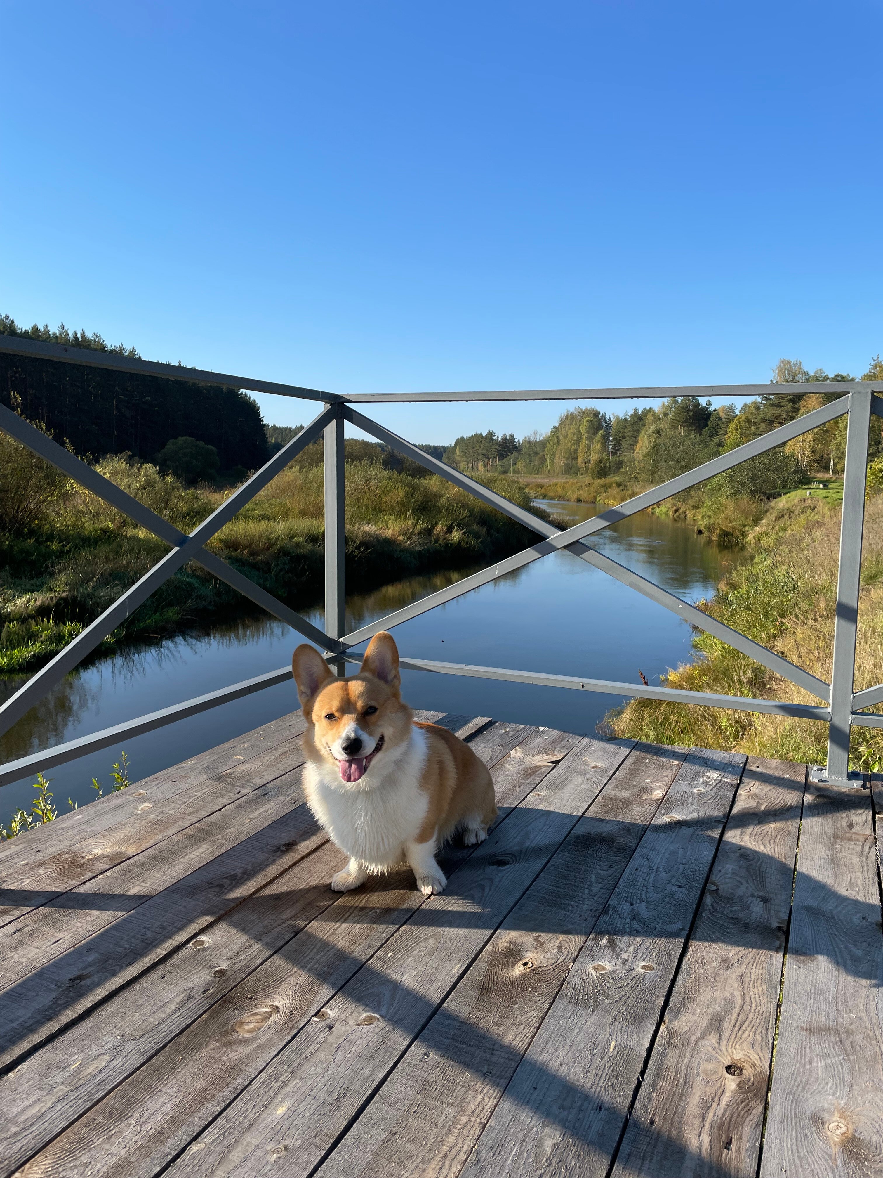 Фото Парк-отель Тутань