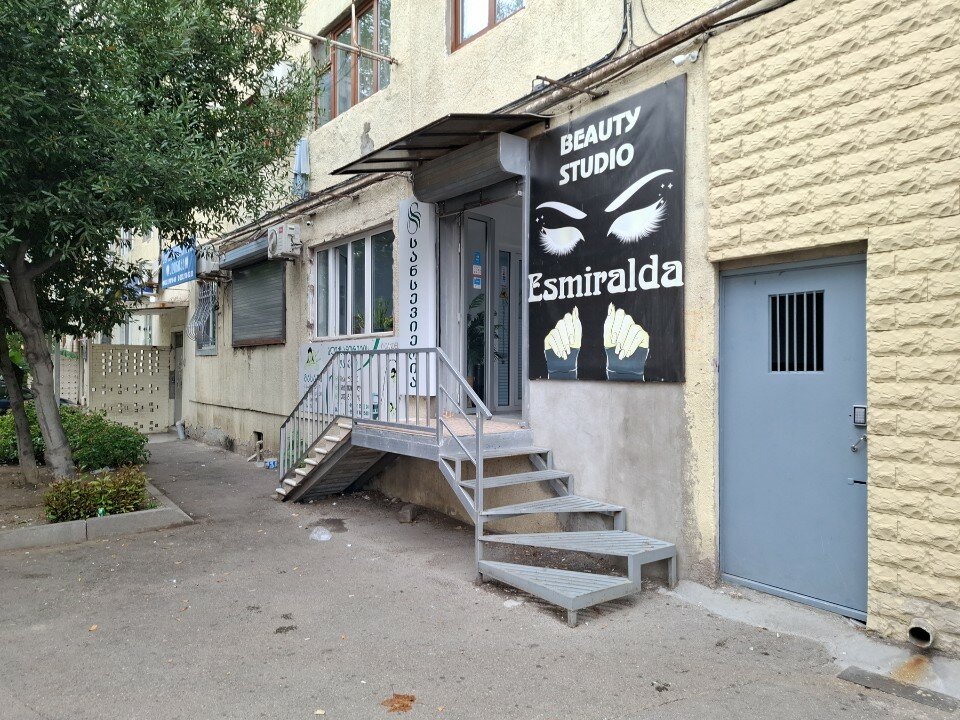 სანსევიერია