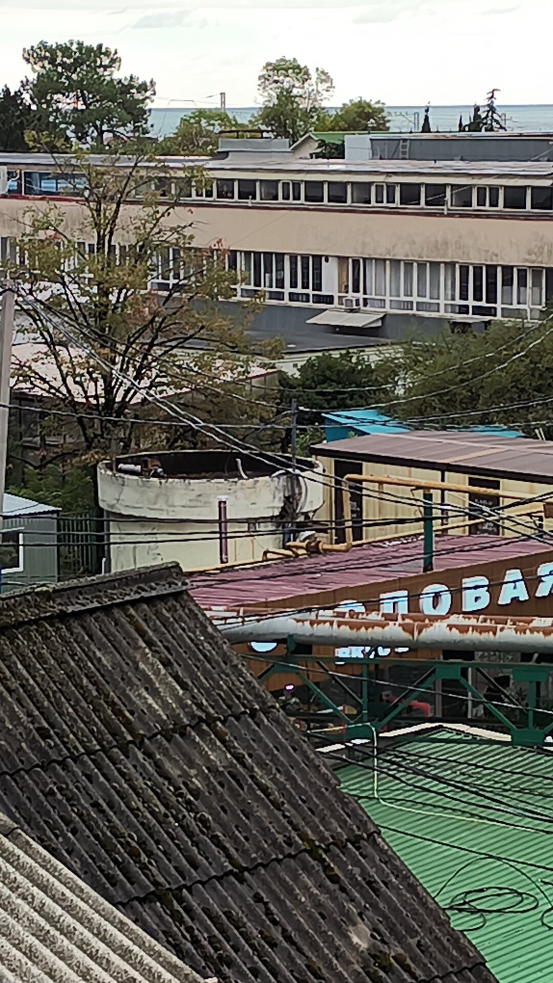 Фото Жемчужина Сочи