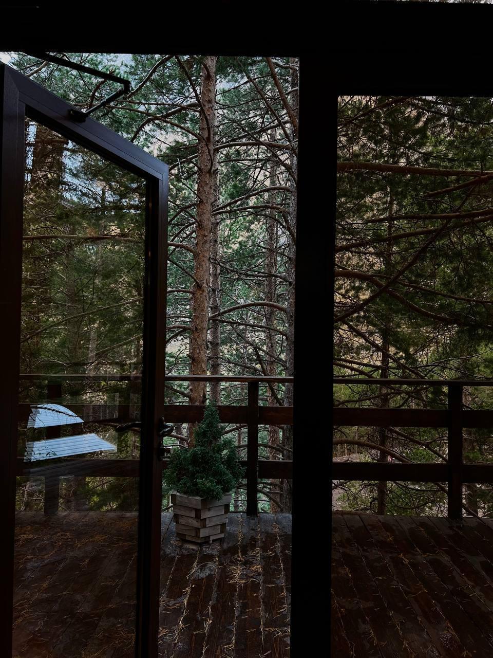 Фото Роза Азау