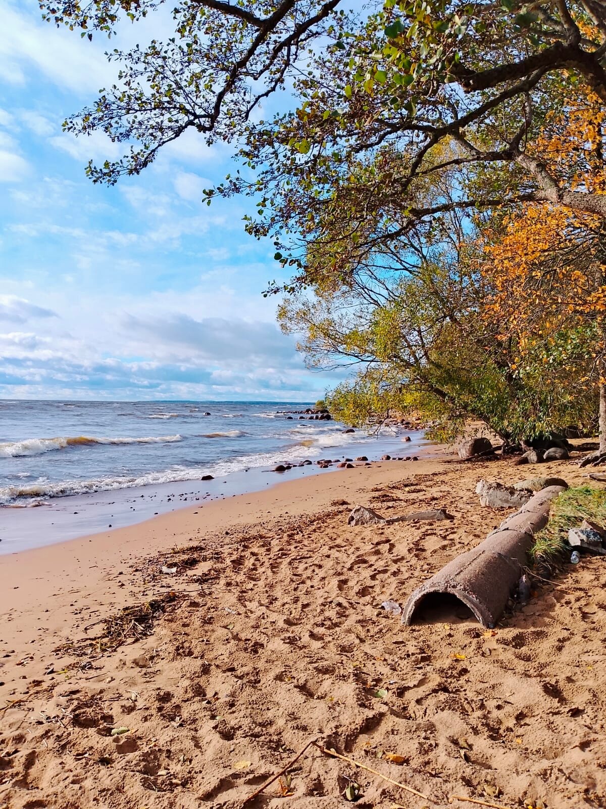 Фото Дом творчества Архитектор