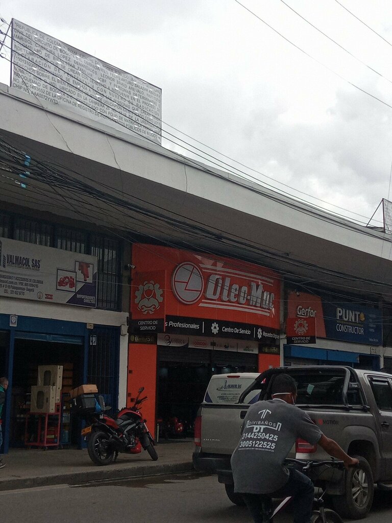 Domestic services Oleo-Mac Paloquemao, Bogota, photo