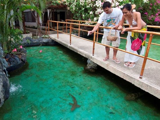 Фото Bluewater Maribago Beach Resort