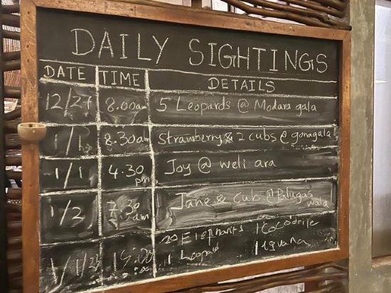 Фото Cinnamon Wild Yala