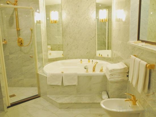 Фото Rahat Palace Hotel