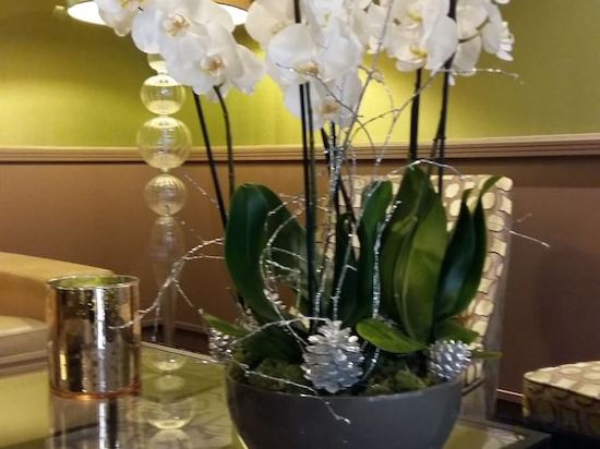 Фото Hôtel Best Western Anjou Lafayette