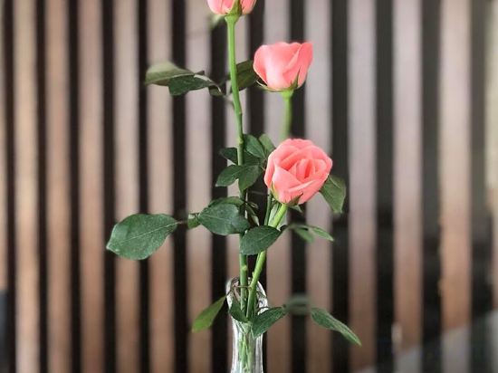 Фото Spring Hotel Hanoi