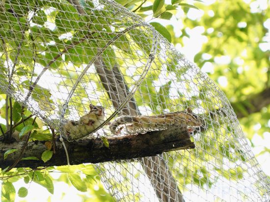 Фото Four Points by Sheraton Guangzhou Baiyun