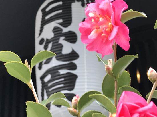 Фото Guesthouse Goettingen