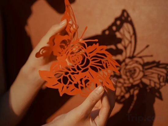 Фото 144337990160