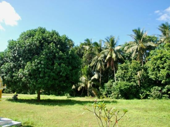 Hotel -20 Off Per Cent Luxury Mango Villa, Samui, photo