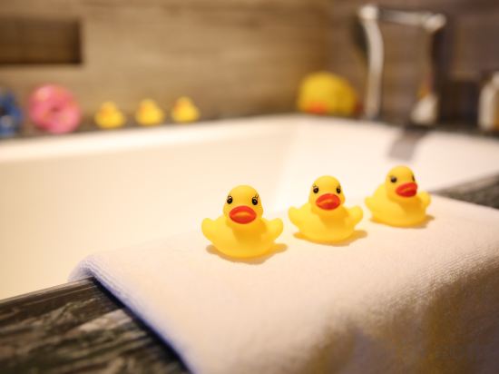 Фото 219847052104